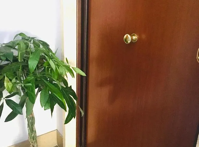 House Alessandrino